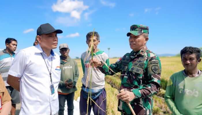 Petani Nunkurus Panen Raya Padi, Danrem 161 Wirasakti Pastikan Harga Gabah Sesuai