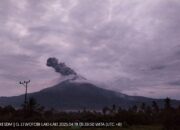 Lewotobi Laki-Laki Erupsi Beruntun di hari Sabtu Vigili Paskah