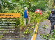 Hadapi Ancaman Bencana Hydrometeorologi, BPBD Lembata Kebagian Anggaran Rp 35 Juta Untuk Tahun 2026