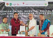 Tingkatkan Minat Investasi, OJK Luncurkan Galeri Investasi Digital di Lingkungan Kampus Stiper Flores