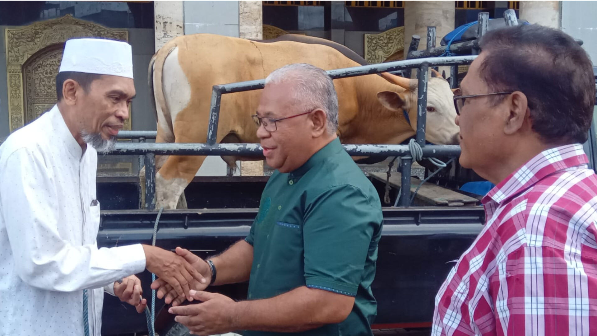 Febry Calvin Tetelepta kembali Salurkan Hewan Qurban di Ambon.